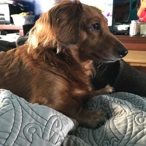 Meet your Posher, Christopher